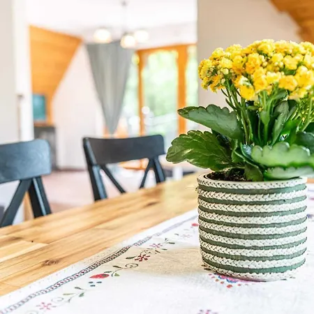 Aparteo Apartament Dwupoziomowy Jaszczurowka Apartment Zakopane
