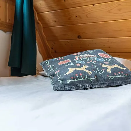 Aparteo Apartament Dwupoziomowy Jaszczurowka Apartment Zakopane